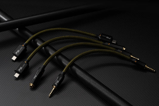 PW AUDIO Epoch PRO Interconnect